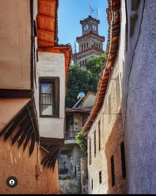 Mama'S House. 300M Απο Τον Μύλο Των Ξωτικών. Tríkala Exterior foto