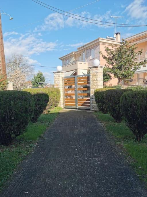 Mama'S House. 300M Απο Τον Μύλο Των Ξωτικών. Tríkala Exterior foto